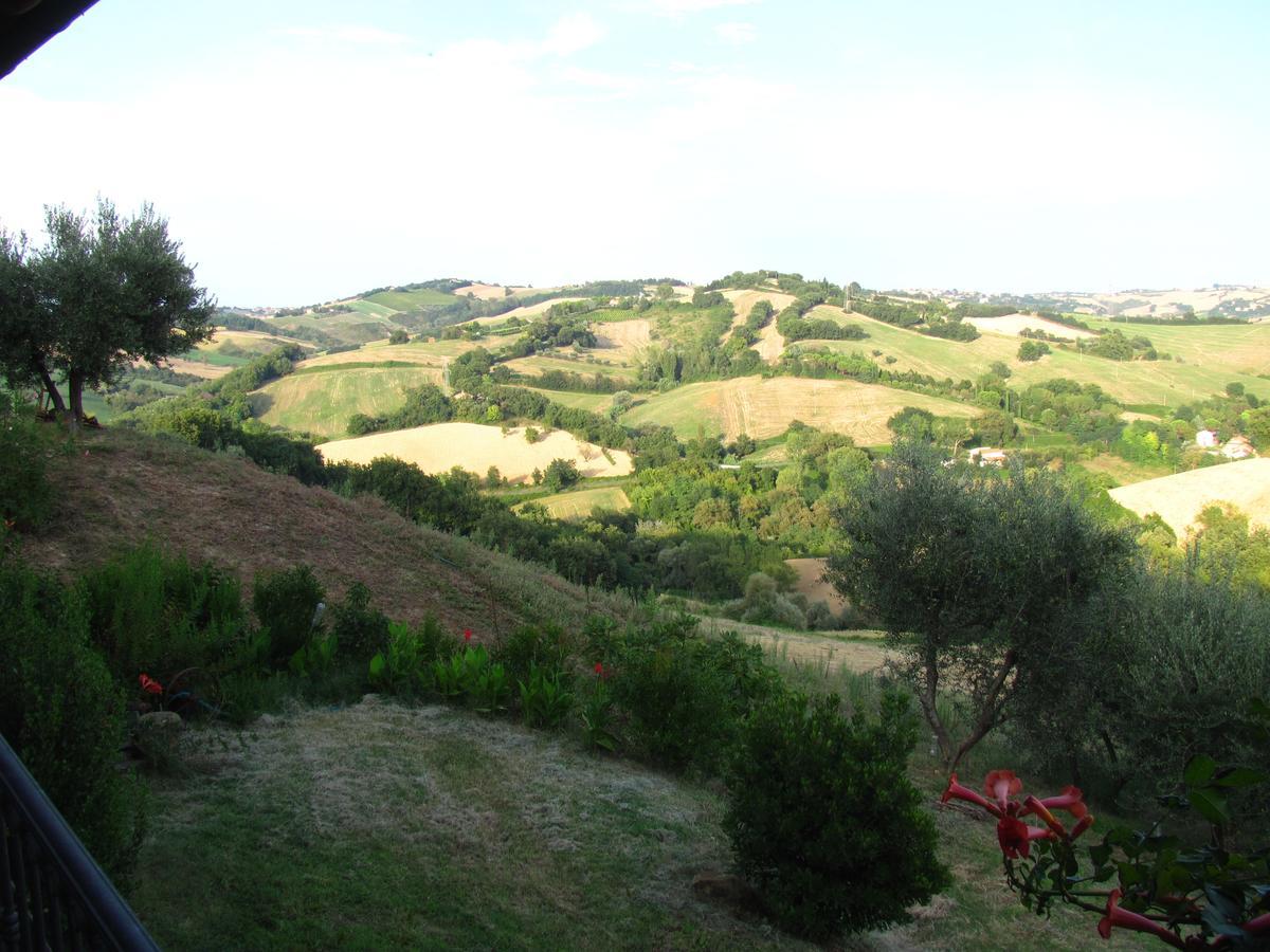 Agriturismo Bacchiocchi Bed & Breakfast Orciano di Pesaro Exterior photo